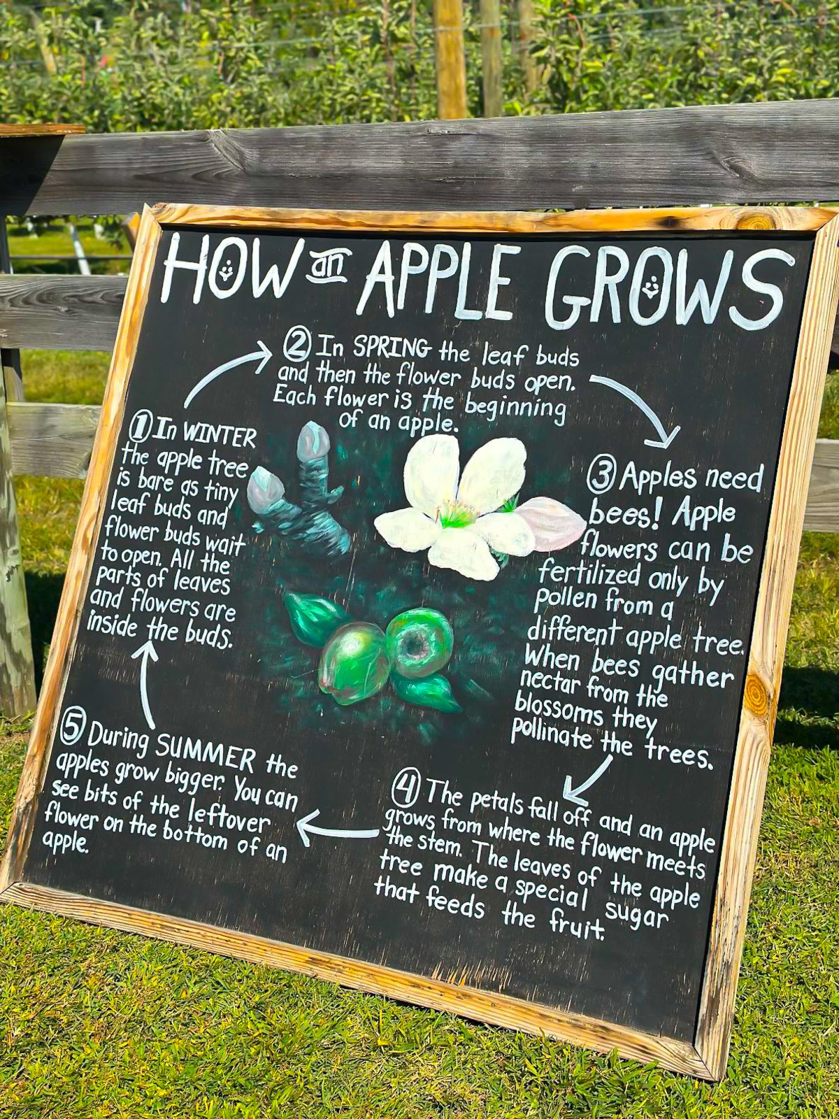 a sign saying how to grow apples