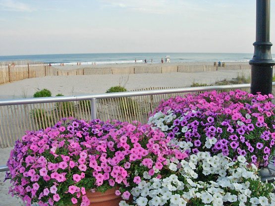 Ocean city NJ