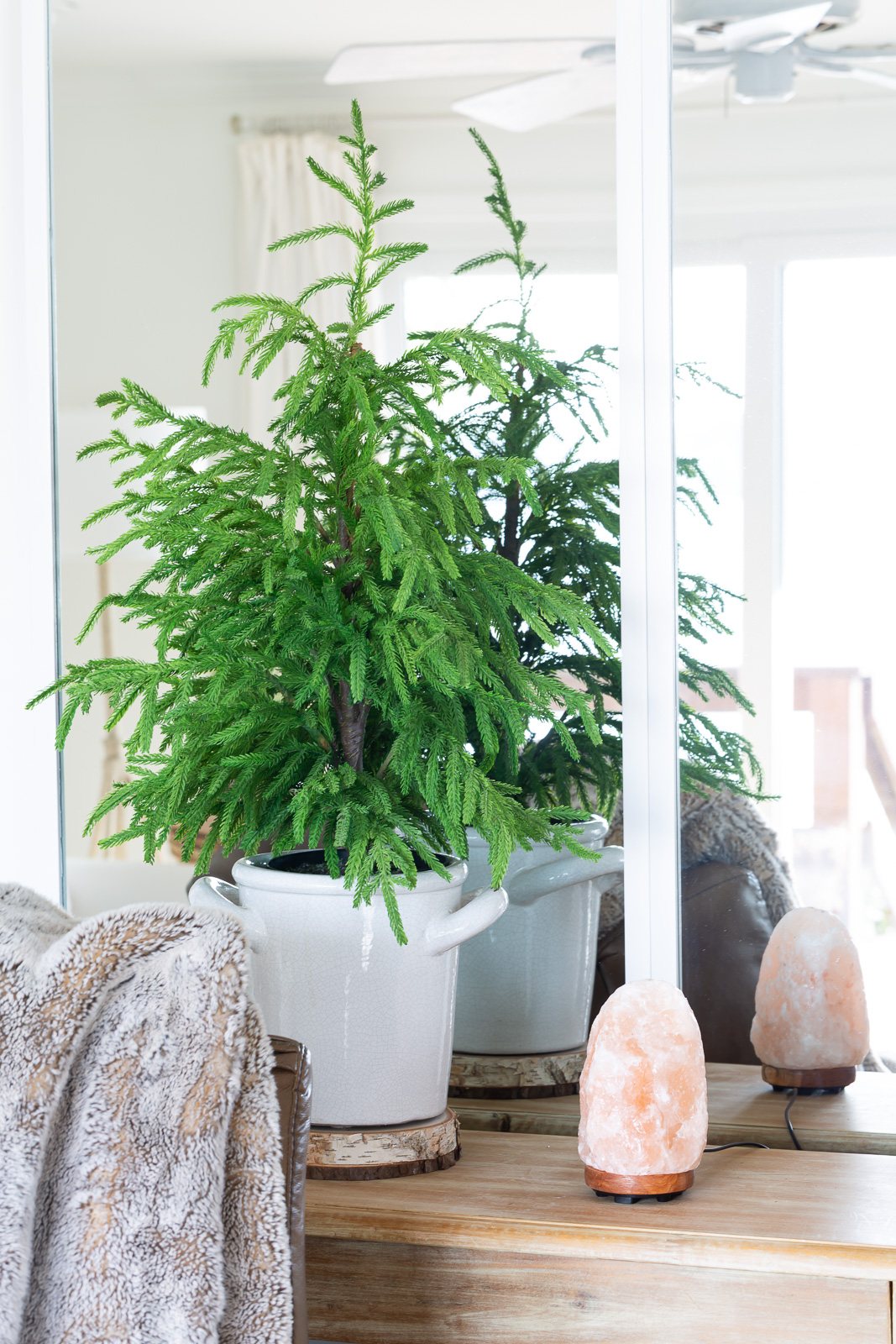 for winter decor a a small faux pine tree on a planter on a sideboard in a living room
