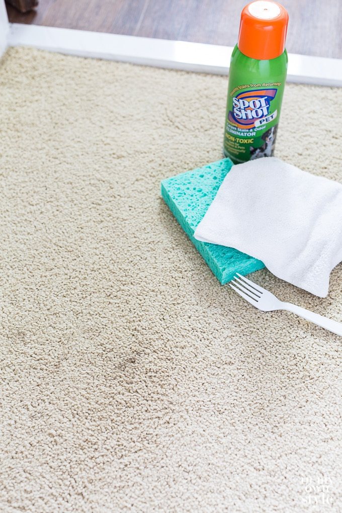 DIY tip to make a spot cleaned carpet look like new