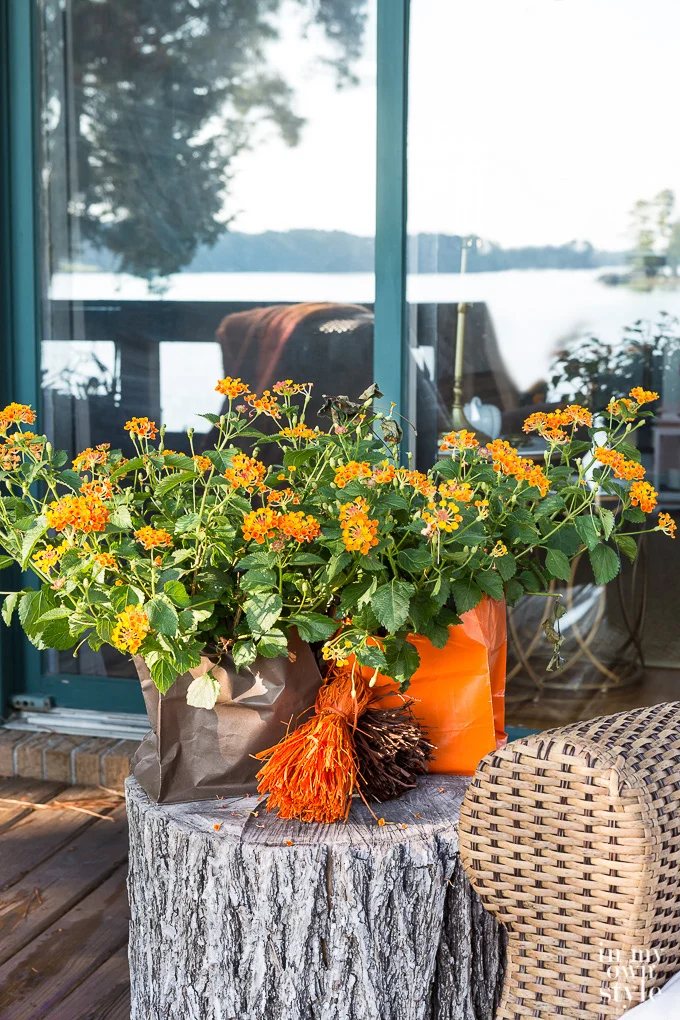 Fall home decorating ideas used outside on a lake side deck