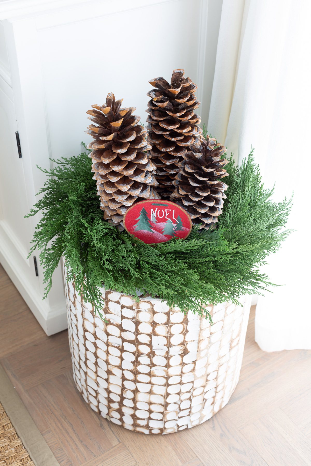 Noel sign on large pinecones