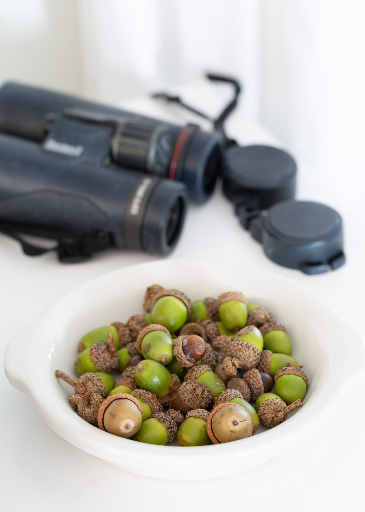 Green acorns on white bowl with a binoculars behind it on a white sideboard.
