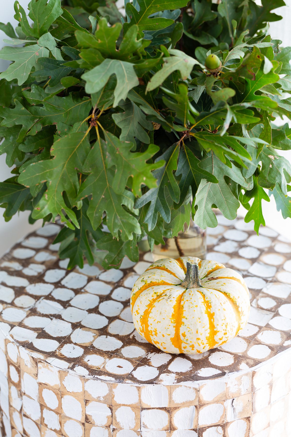 Mini tiger pumpkin on accent table with vase full of green leaves next to it.