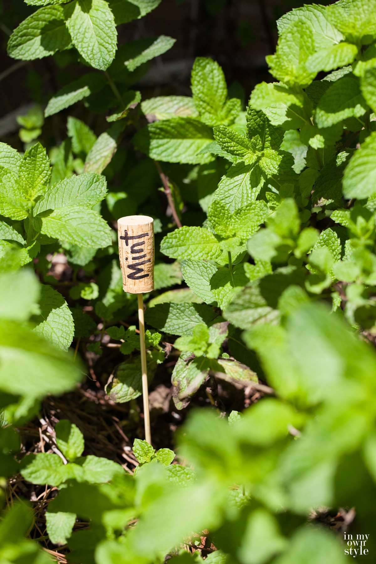 creative ideas for garden markers