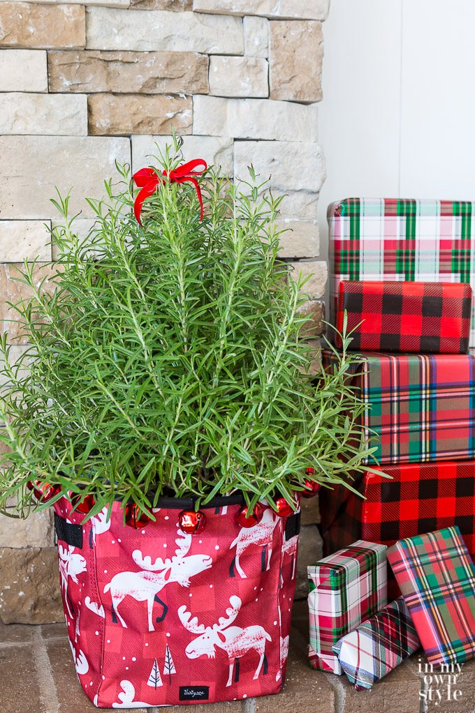 Creative Holiday Giving Ideas