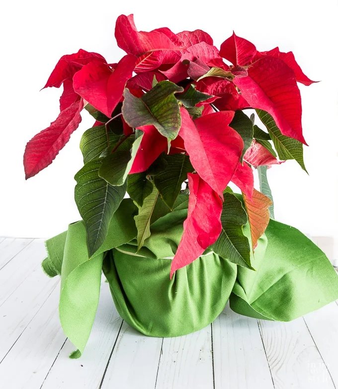 Flower pot hacks