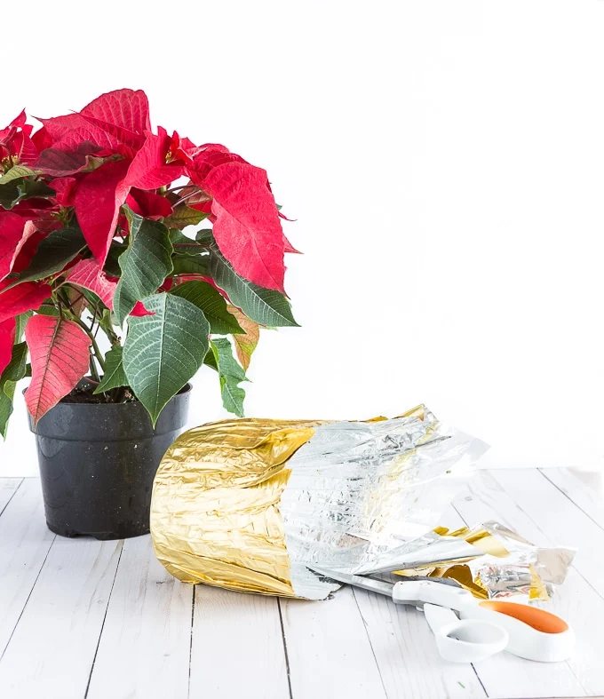 Plastic Flower pot hacks