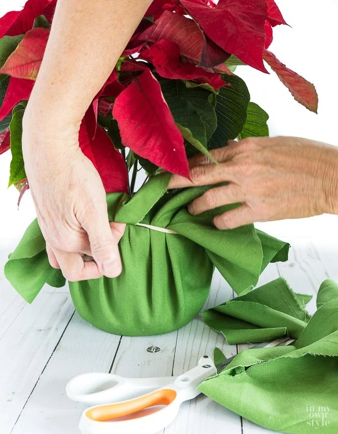 How to wrap a flower pot to give as a gift