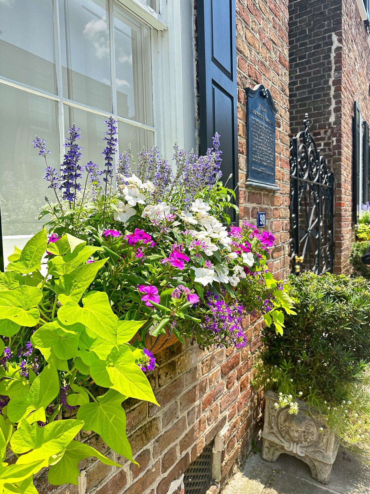 close up of flowers in a window box on a brick townhome in Charleston, SC