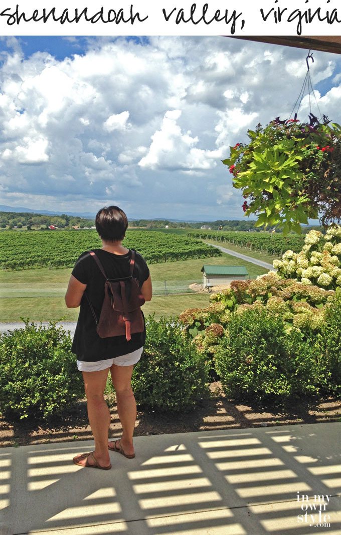 Barren-Ridge-Winery-in-the-Shenandoah-Valley-of-Virginia
