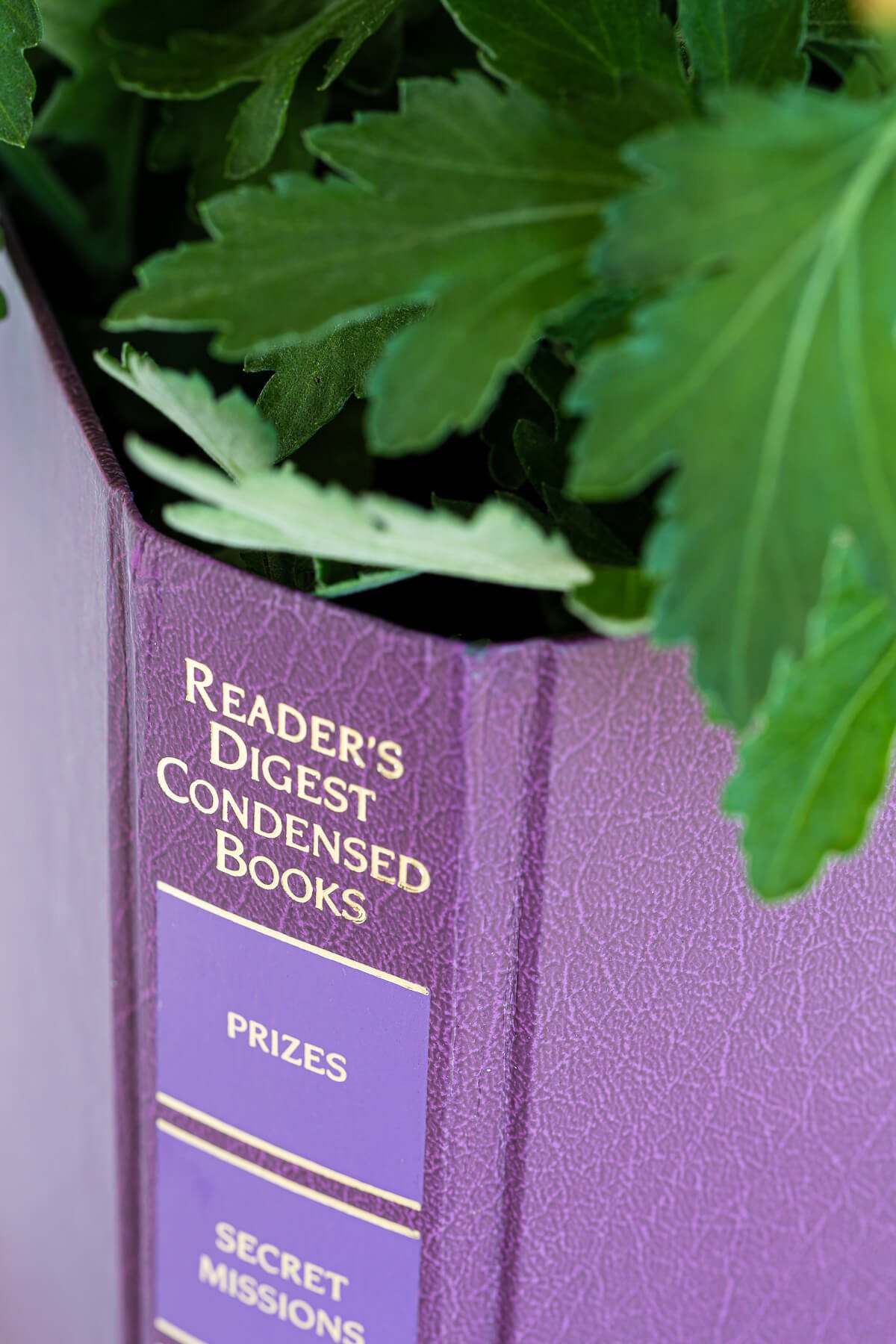 Purple readers digest condensed book cover made into a planter.