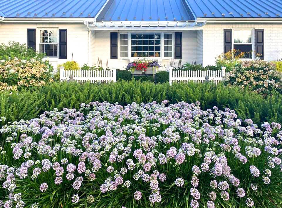 flower-garden-in-front-of-house