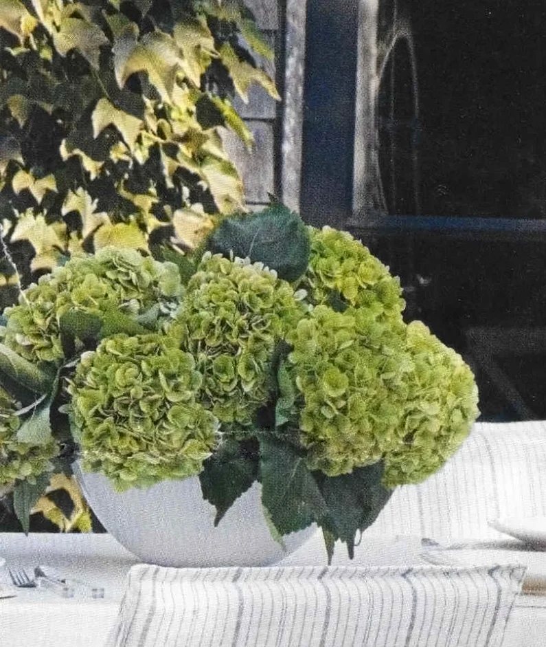 large white bowl vase with light green hydrangeas on outdoor table