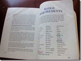 Junior-girl-Scout-Badge-Req