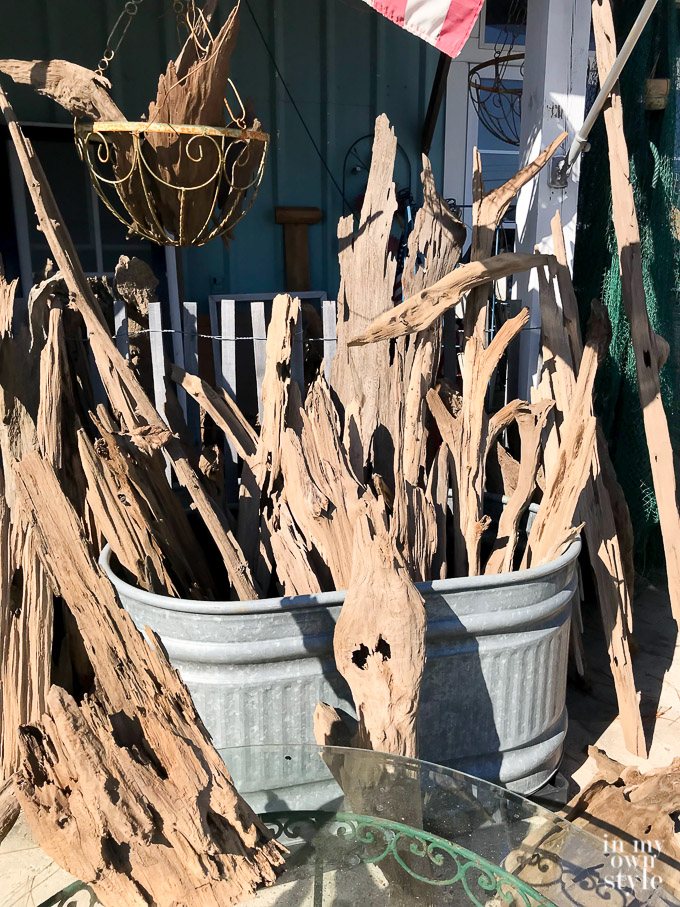 Driftwood for sale at Pieces in Panama City Beach in Florida