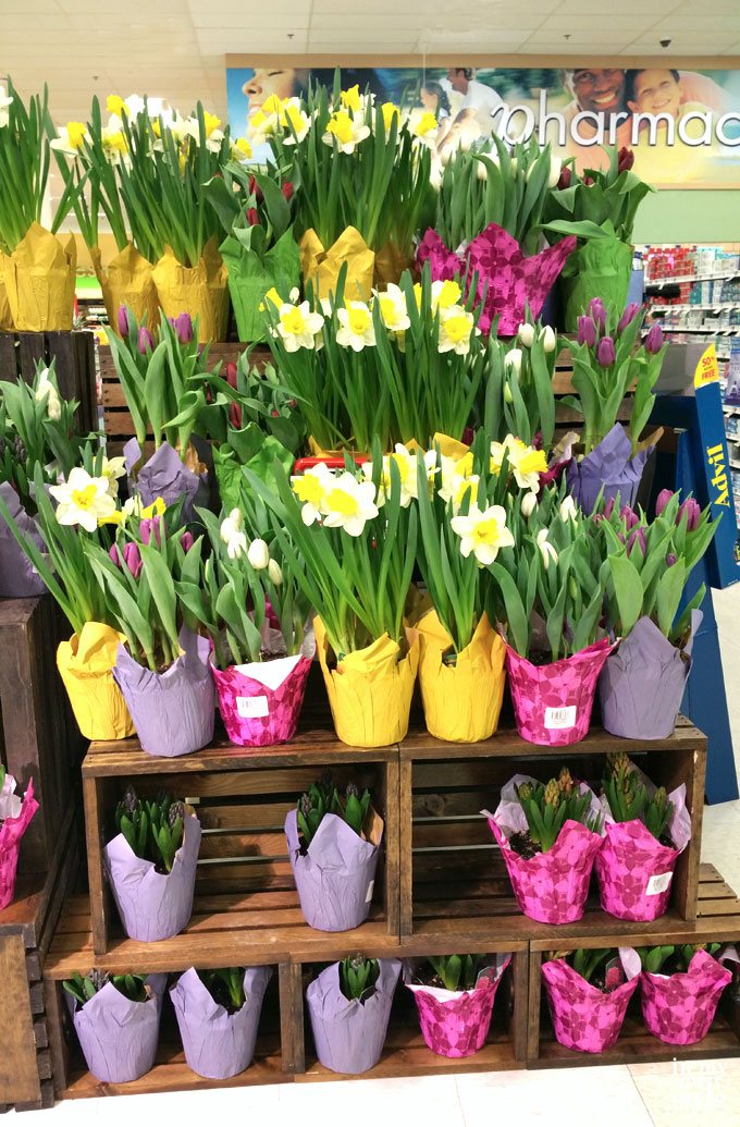 How to give grocery store flowers in style