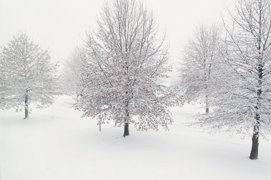 snow storm