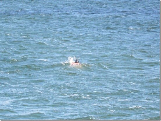 Ireland-Galway-Salthill-Swiming