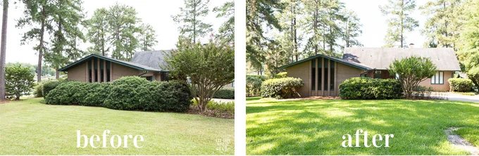 House exterior window before and after removing shrubs in front of it.