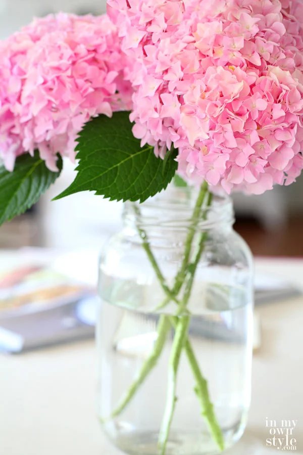 How to Cut Hydrangeas So They Won’t Wilt