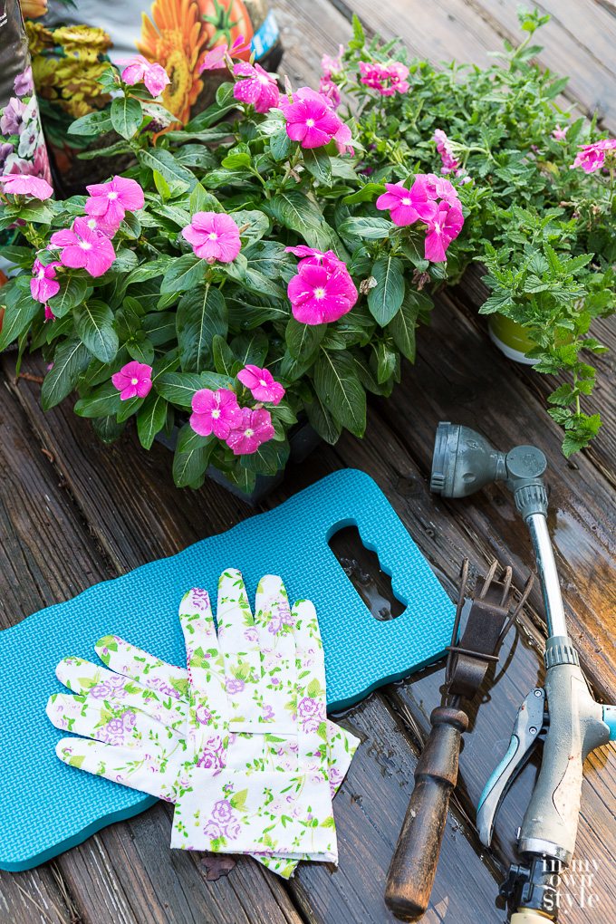 How To Grow Flowers That Will Bloom All Summer Long