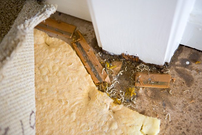 how to remove wall to wall carpeting