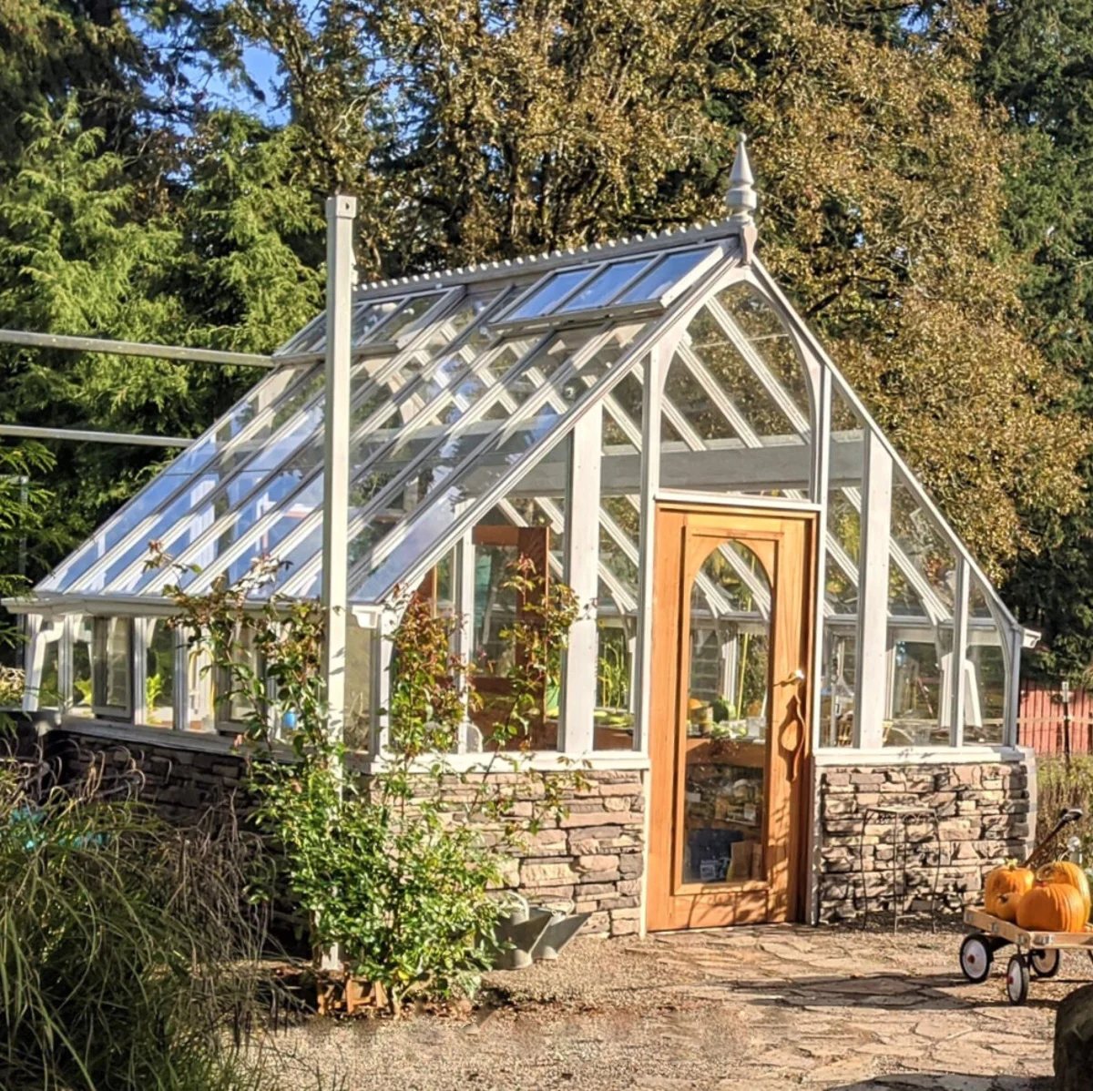 How to Keep Squirrels Out of Raised Garden Beds