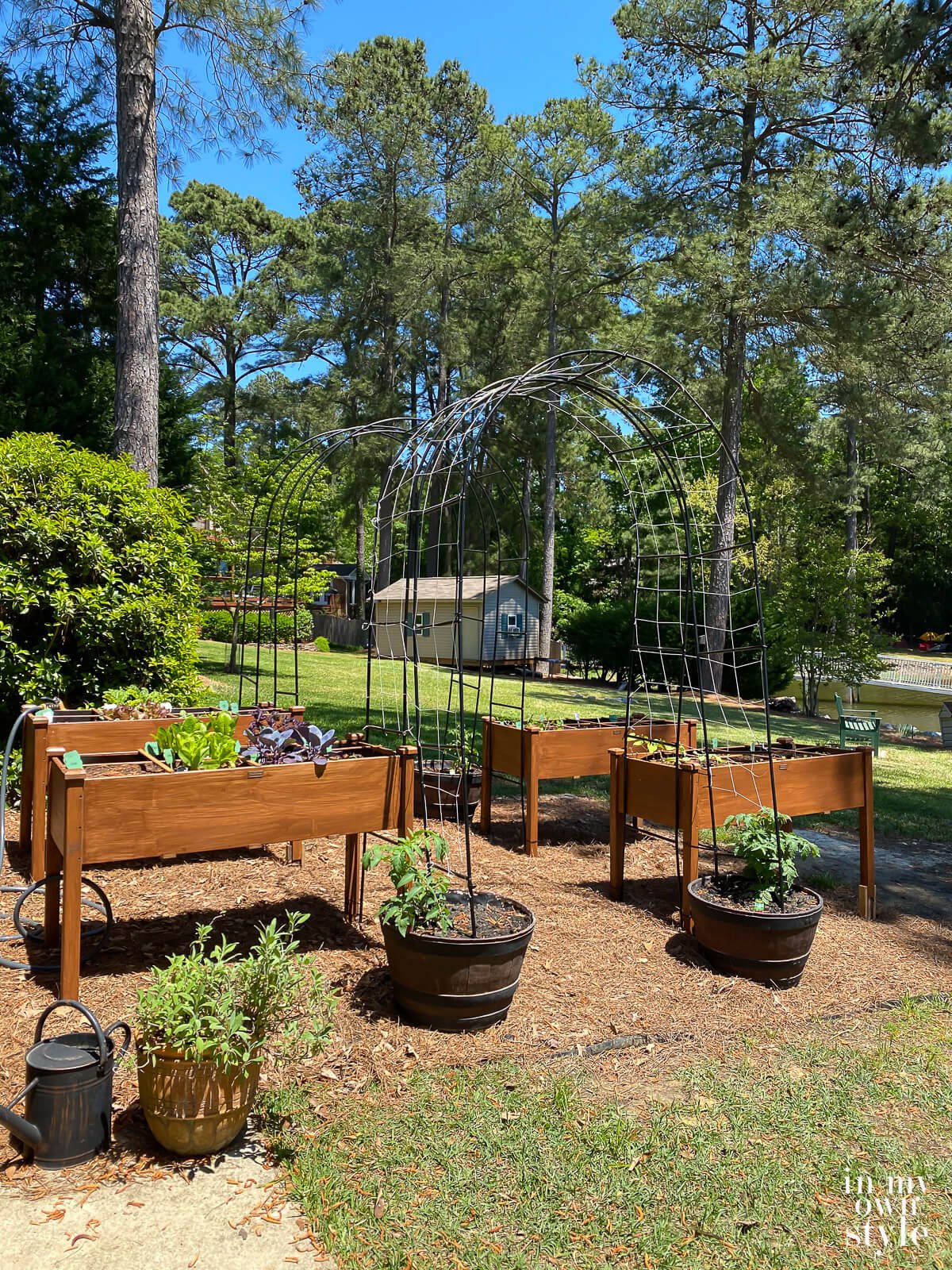 Kitchen Garden in yard with elevated beds.
