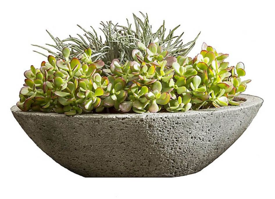 Cast stone planter with succulents
