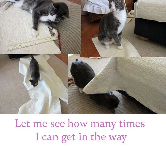 Trax-the-helper--NOT!