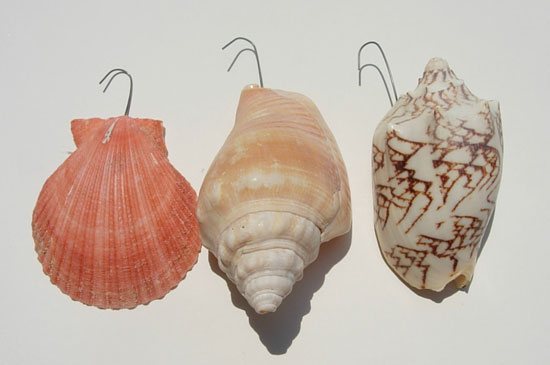 shell-window-treatment-fron