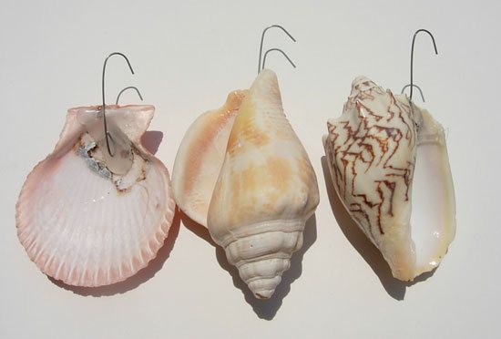 shell-window-treatment-8