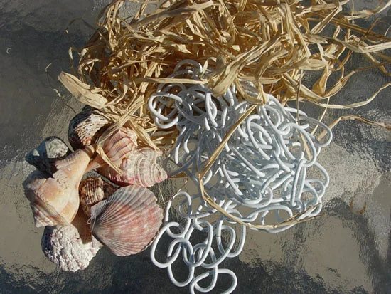 How-to Make an Easy Seashell Window Treatment