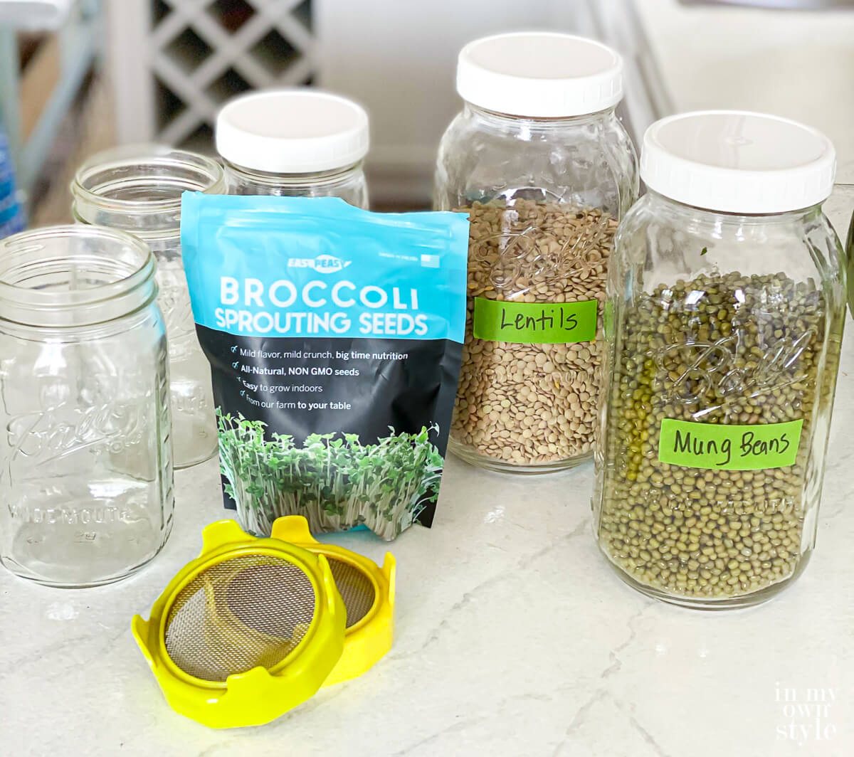 What you need to sprout beans and seeds in a jar - no fancy equipment needed.
