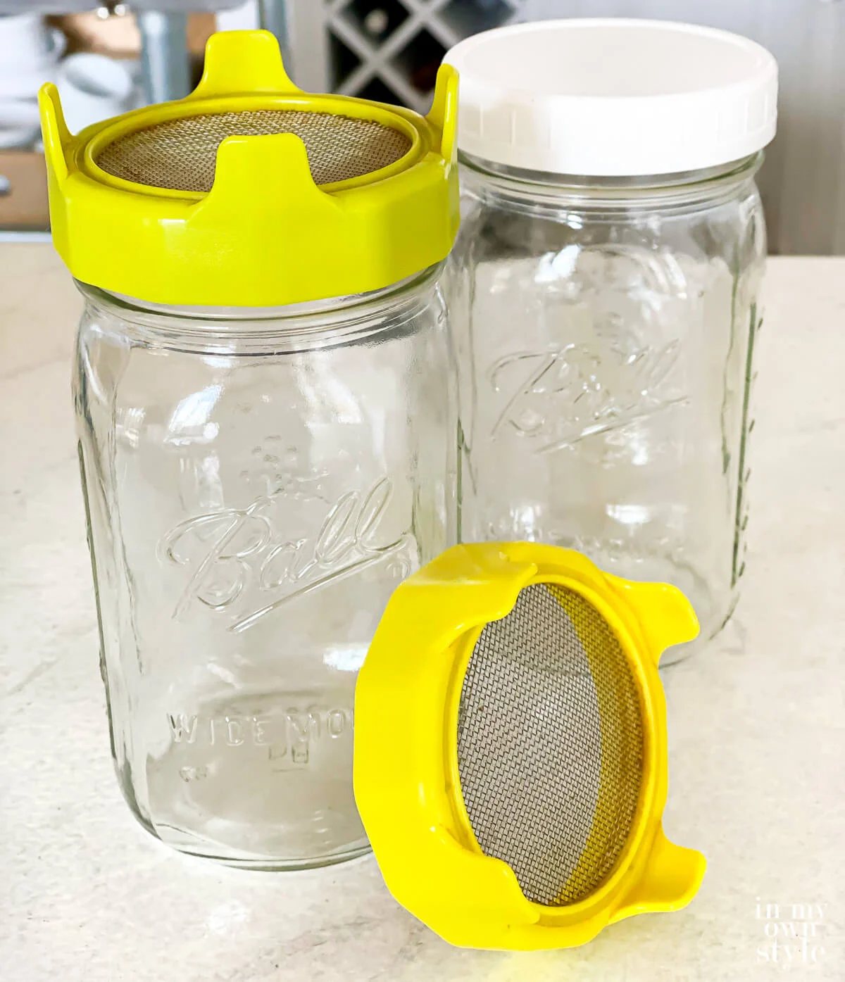 Wide Mouth Mason jars with inexpensive sprouting lids.