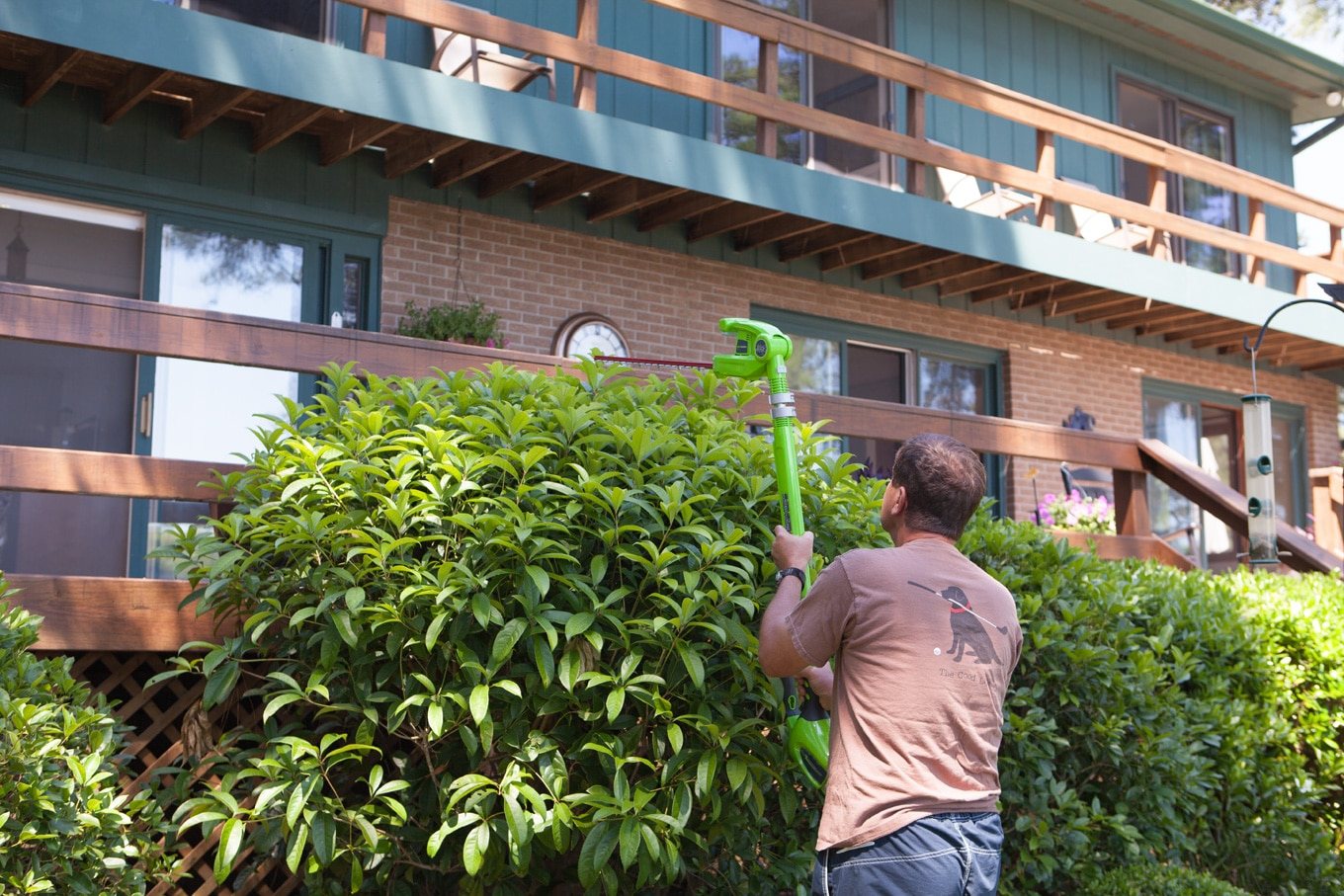 hedge trimming made easy