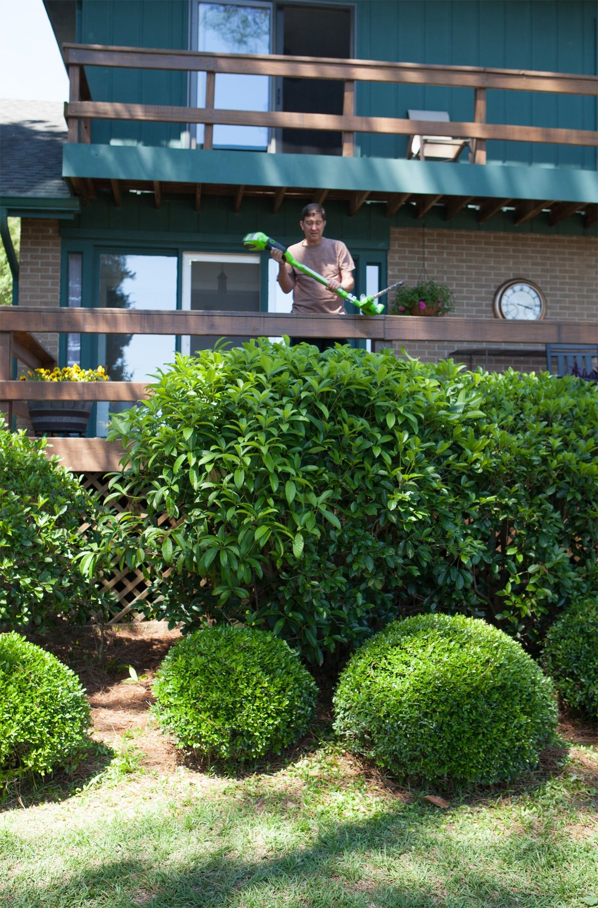 Cordless hedge trimmer