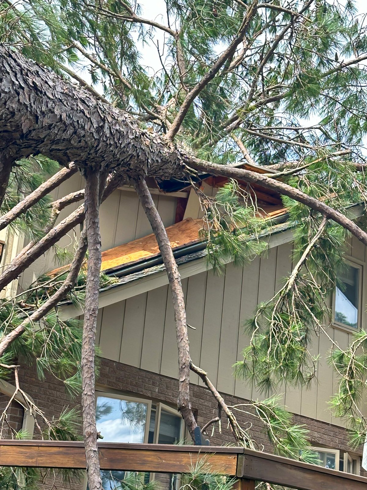 Life & House Updates