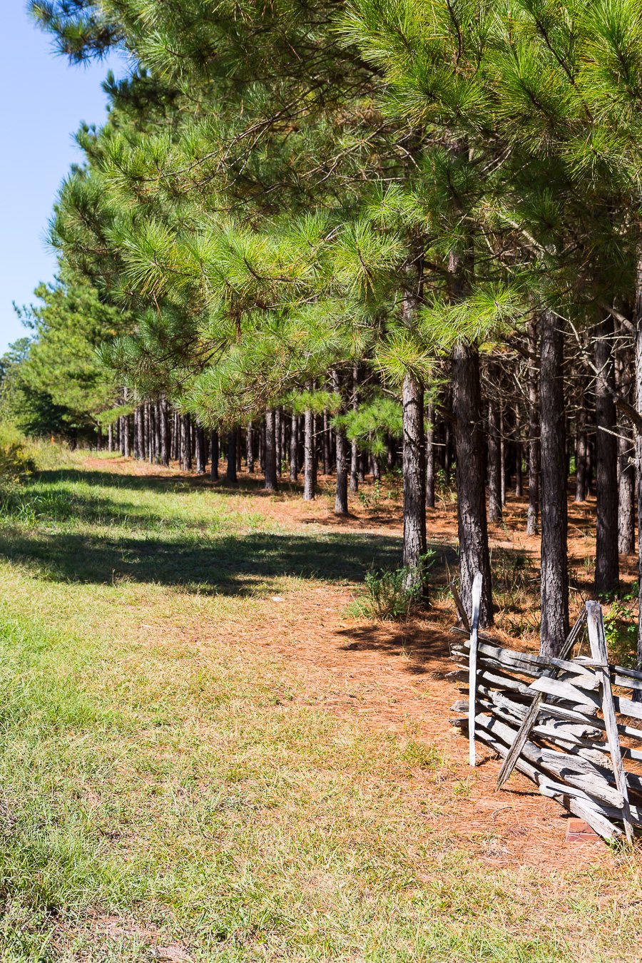 Rural area around Chapin SC