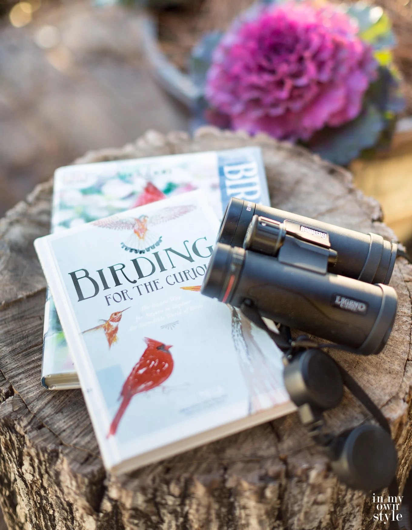 Decorating a bird house