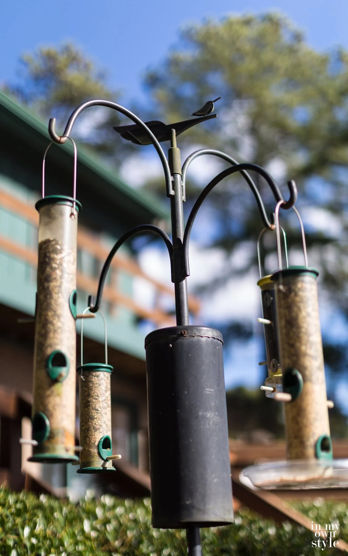 Bird feeder and birdhouses