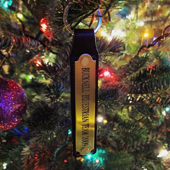 Christmas Tree Decorating Ideas to make