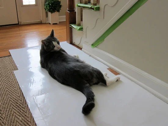 Staircase-Makover-buddy