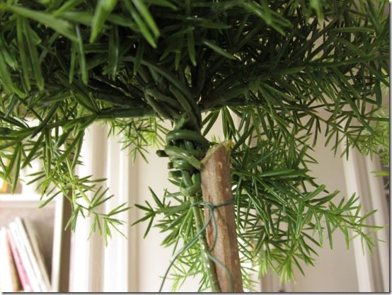 How-to-make-a-topiary-wire-
