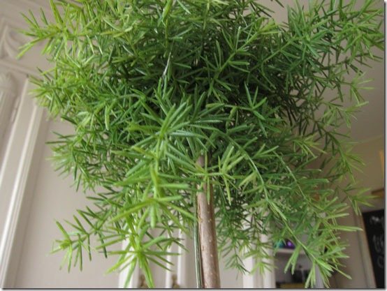 how-to-make-a-topiary-fille