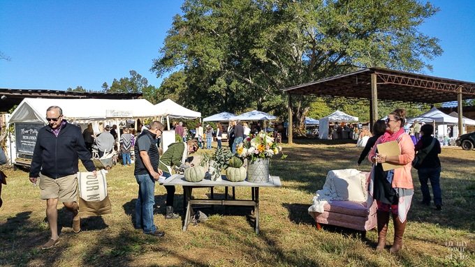 My Day at Nest Fest Near Charlotte, NC