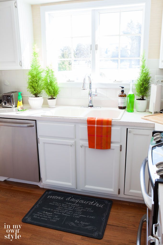 How Not To Kill Houseplants
