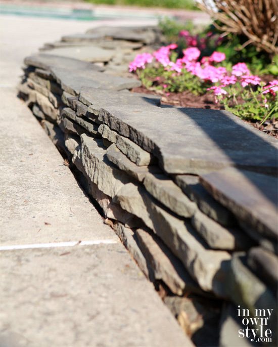 Gardening: Planting Annuals with a New Soil
