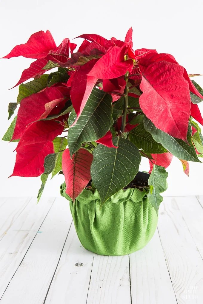 Add flair to any Flower pot